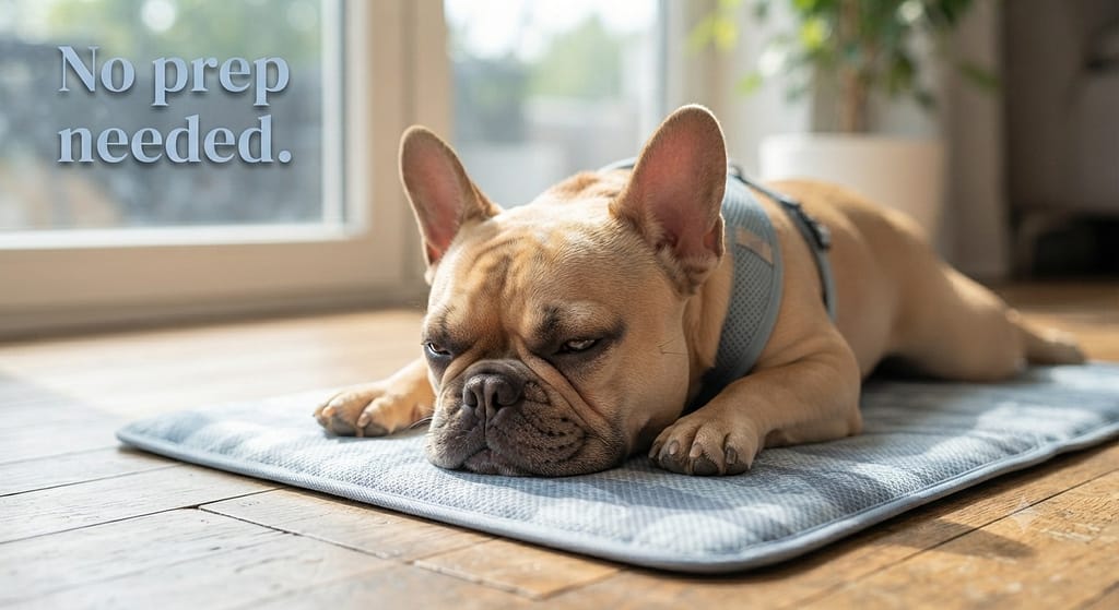 Self-cooling mat photo Frenchie on self-cooling pad. Text: "No prep needed."