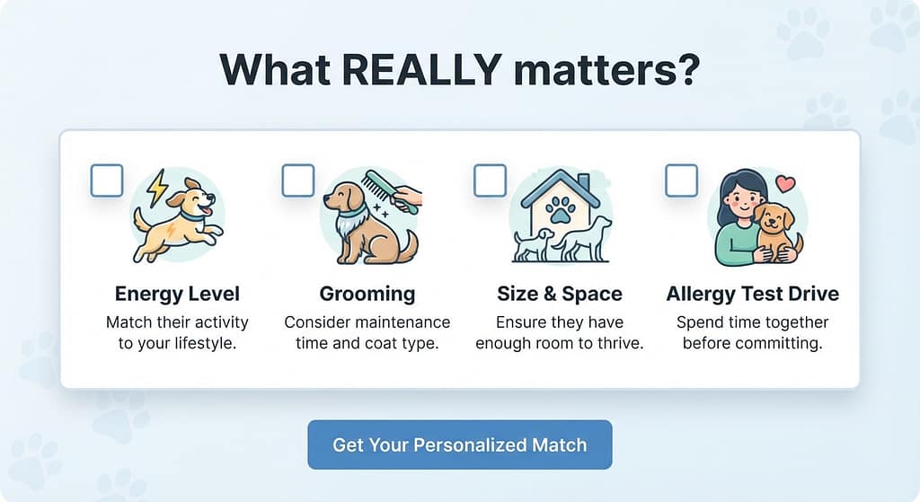 Interactive checklist graphic 4 questions with checkboxes: Energy Level, Grooming, Size & Space, Allergy Test Drive. Text: "What REALLY matters?"