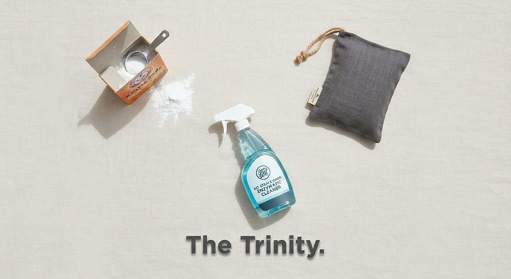 Odor control flat lay Baking soda, activated charcoal bag, enzymatic cleaner. Text: "The Trinity."