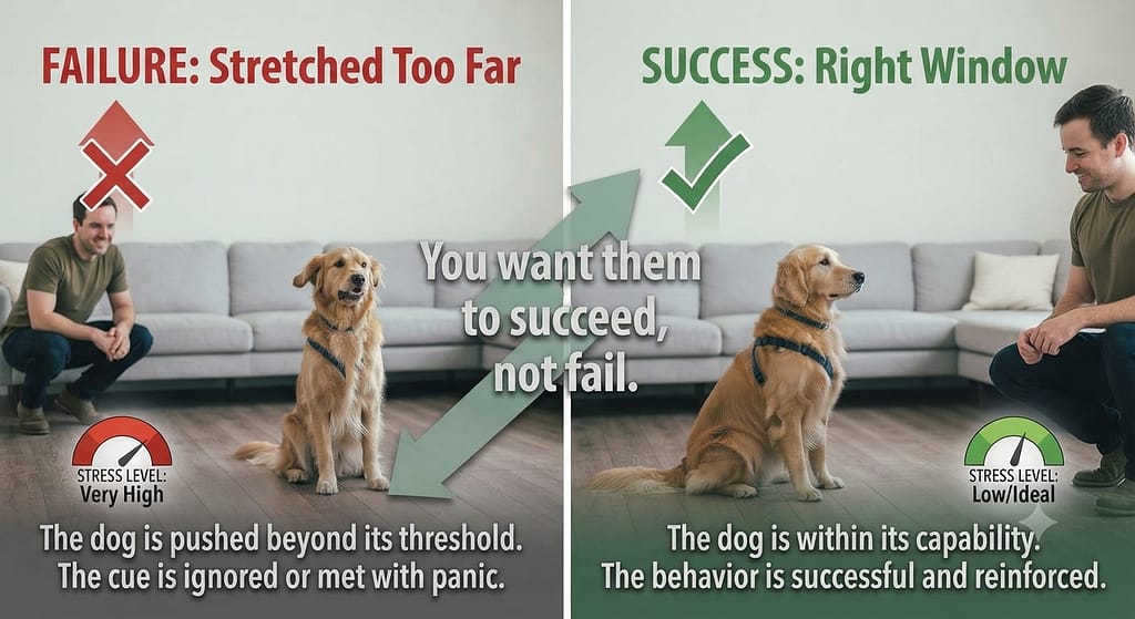 Success vs failure graphic Stretched too far (failure) vs Right window (success). Text: "You want them to succeed, not fail."