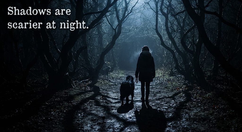 Night walk photo Dog and owner walking at night, shadows, spooky atmosphere. Text: "Shadows are scarier at night."