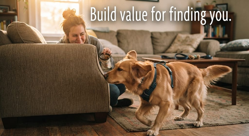 Hide and seek action photo Owner hiding behind couch, dog searching. Text: "Build value for finding you."