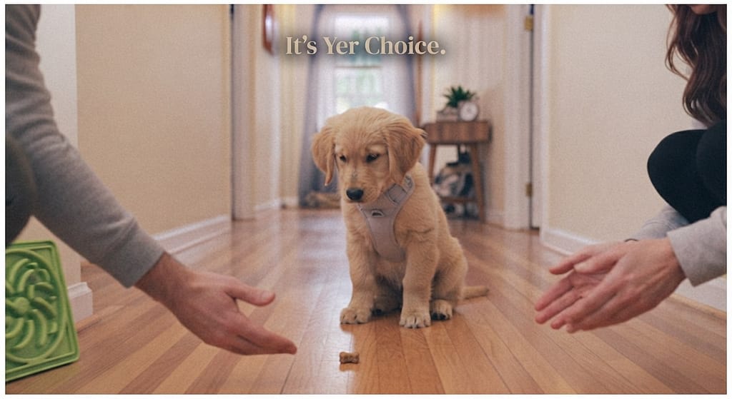 Puppy impulse control photo Puppy waiting for treat. Text: "It's Yer Choice."
