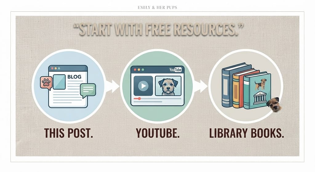 Free resources graphic This post, YouTube, library books. Text: "Start with free resources."