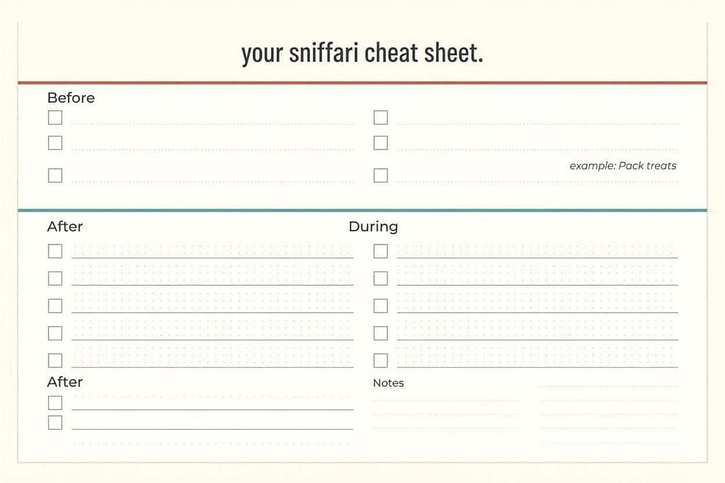 Printable checklist preview Before, During, After sections with checkboxes.