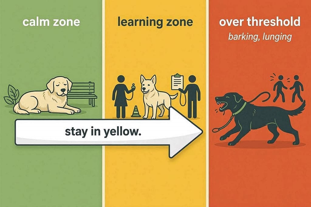 Calm zone (green) → Learning zone (yellow) → Over threshold/red (barking, lunging). Arrow: "Stay in yellow."