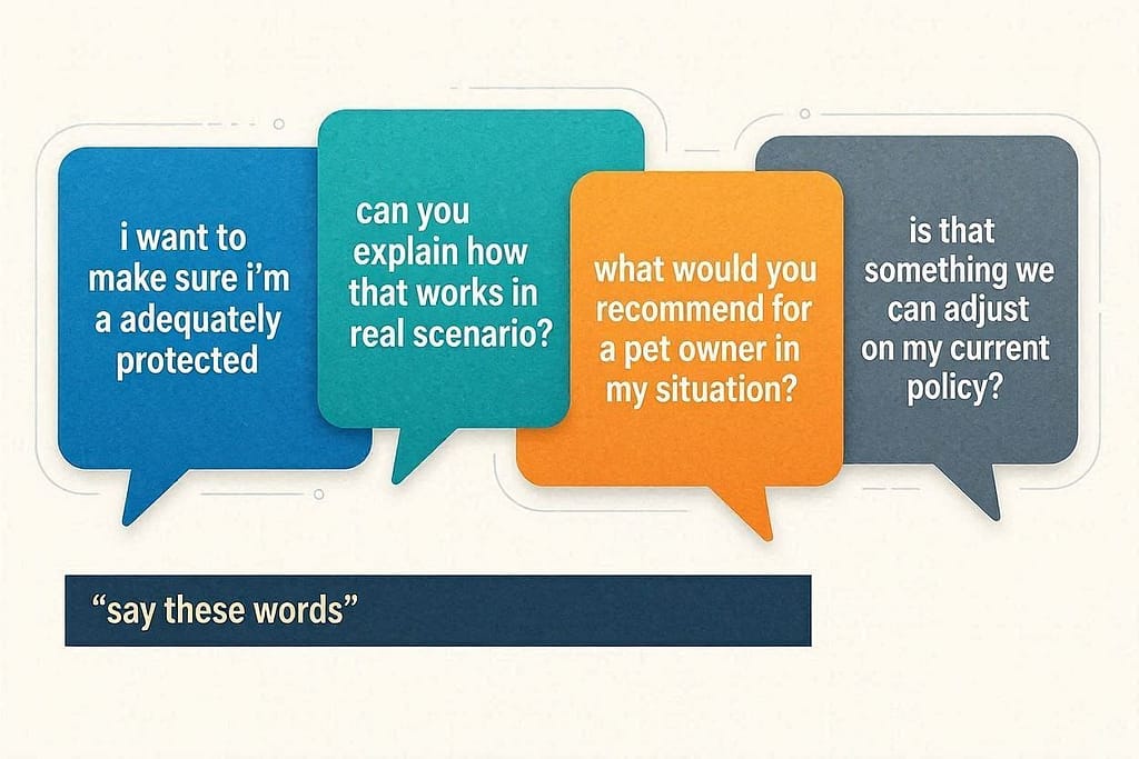 Key phrases graphic Speech bubbles with helpful phrases. Text: "Say these words."